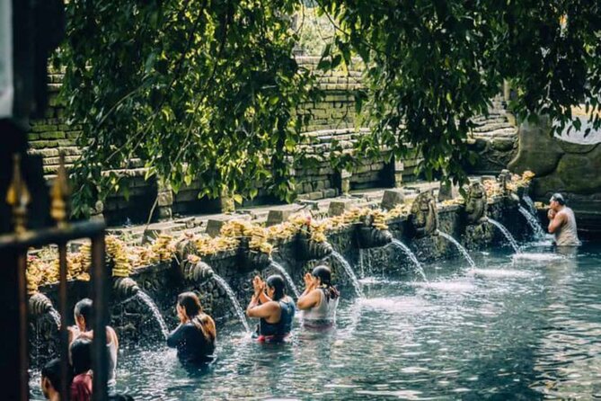 Ubud: Private Customized Highlights Tour - Rice terraces and ridge walks: views without the heavy tourist grind