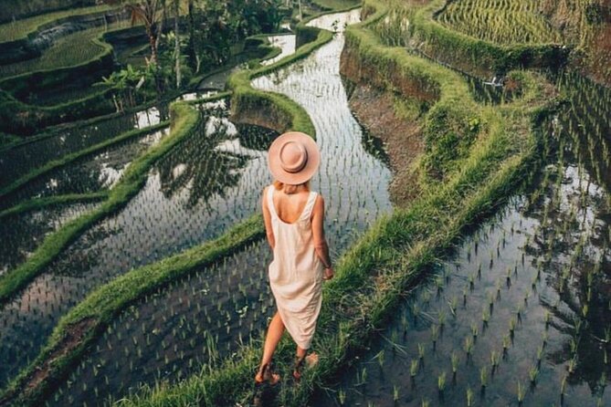 Ubud: Private Customized Highlights Tour - Sacred Monkey Forest and cave/rock culture stops: shade, creatures, and calm