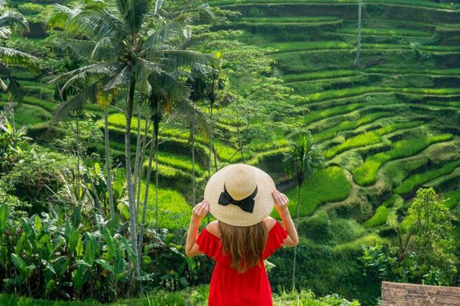 Ubud: Private Customized Highlights Tour - Choose your pace: up to 4 stops in half a day, up to 5 full day