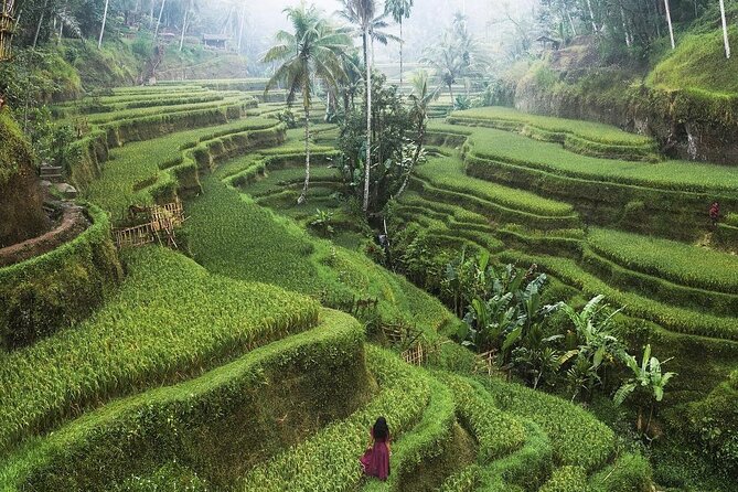 Ubud Private Full-Day Tour - Stop 3: My Swing Bali for that over-the-trees photo look