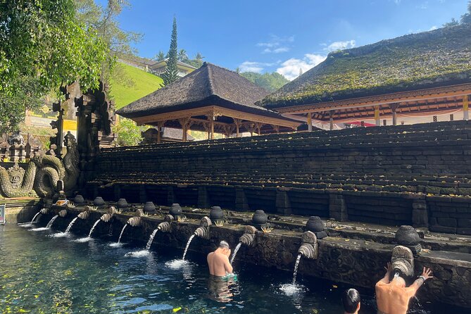 Ubud Private Nature and Temple Tour - Key highlights worth your attention
