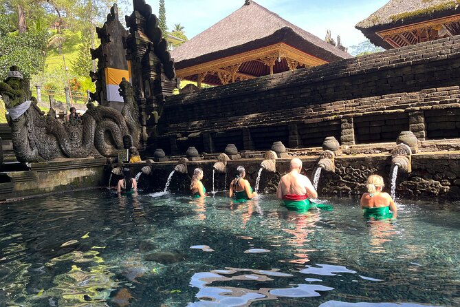 Ubud Private Nature and Temple Tour - Monkey Forest: close-up macaques and a few rules you’ll thank yourself for
