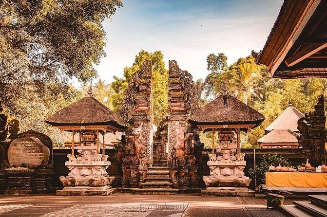 Ubud Private Tour - Ubud in one day: what this tour does well