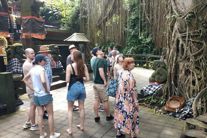 Ubud Private Tour - Stop 3: Pakudui Village and the Pakudui rice terraces
