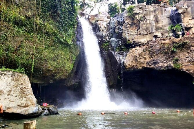 Ubud Private Tour : Best Of Ubud - Guided Tour - Sacred Monkey Forest Sanctuary: More Than a Zoo Feel
