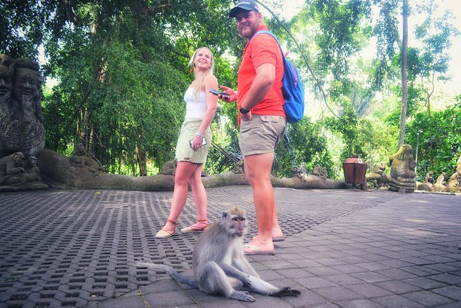 Ubud Private Tour : Choice Your Own Trip - The Route Options: A Stop-by-Stop Look at What Each Place Gives You