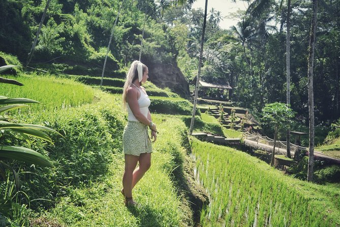 Ubud Private Tour : Choice Your Own Trip - Comfort and Service: Private Transport That Actually Makes Ubud Easier