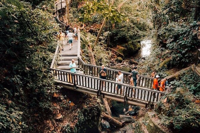 Ubud Private Tour: Monkey Forest, Rice Terrace, Temple, Waterfall - How This 9-Hour Private Ubud Route Works From Seminyak