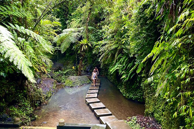 Ubud Private Tour: Monkey Forest, Rice Terrace, Temple, Waterfall - Tebasari Resto, Bar & Lounge: Lunch With a Jungle-View Reset