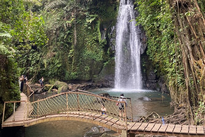 Ubud Private Tour: Monkey Forest, Rice Terrace, Temple, Waterfall - Ulu Petanu Waterfall: A Hidden Stop You Can Actually Swim At