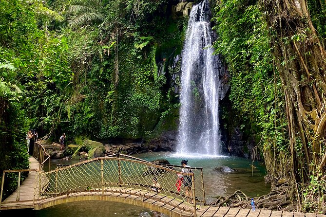 Ubud Private Tour: Monkey Forest, Rice Terrace, Temple, Waterfall - Price and Value: What You Pay for and What You Still Need to Budget