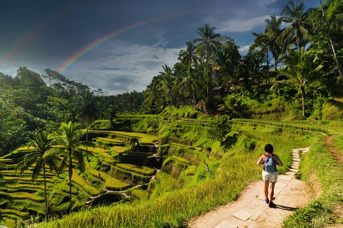 Ubud Private Tour: Monkey Forest - Tirta Empul Temple - Goa Gajah Elephant Cave: Ancient Pools in a Half Hour