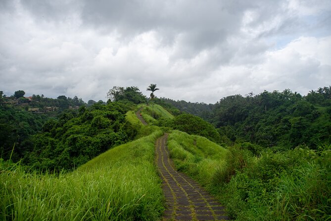 Ubud Private Tour: Monkey Forest - Tirta Empul Temple - Gianyar Street Night Market: Dinner That Feels Like Part of the Local Scene