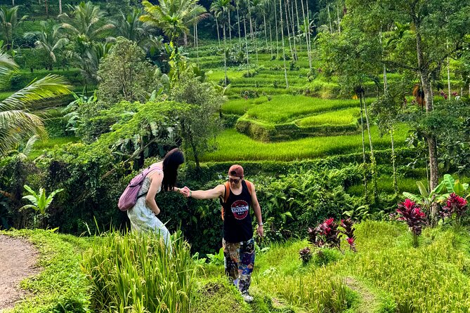 UBUD Private Tour – Rice Terrace, Jungle Swing & Hidden Waterfall - How Private Transport Changes Your Ubud Day