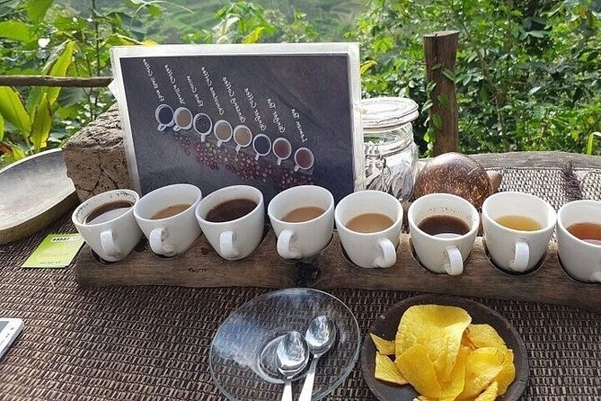 UBUD Private Tour – Rice Terrace, Jungle Swing & Hidden Waterfall - Tirta Empul Temple vs Sacred Monkey Forest: Choose Your Ubud Flavor