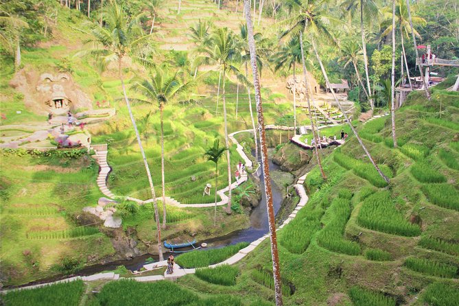 Ubud Private Tour : Ubud Temple and Authentic of Ubud - Price and value: what $95 really buys for an 8–10 hour day