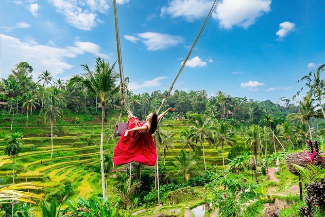 Ubud Private Tour: Waterfalls, Temple and Rice Terraces Swing - Key things I’d book this for