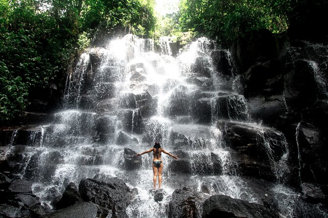 Ubud Private Tour: Waterfalls, Temple and Rice Terraces Swing - Lunch at D Alas Warung: rice-terrace views and real comfort food