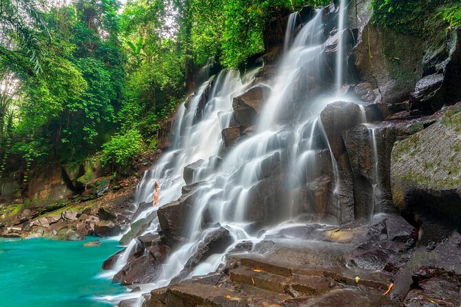 Ubud Private Tour: Waterfalls, Temple and Rice Terraces Swing - Pemulan Bali Coffee Plantation: tasting, a plantation walk, and a stop that stays flexible