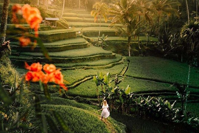 Ubud Private Tour - Waterfalls, Water Temple & Rice Terraces - Tukad Cepung Waterfall: The Sunray Cave Moment
