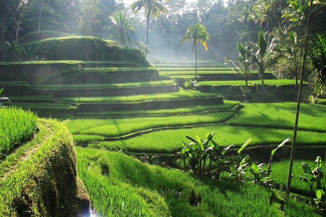 Ubud Private Tour - Waterfalls, Water Temple & Rice Terraces - Tirta Empul Temple: Purification Ritual, Sarong Attire, and Respect
