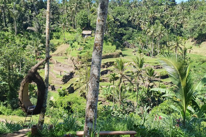 Ubud Private Tour - Stop 2: Sacred Monkey Forest Sanctuary and Tri Hita Karana