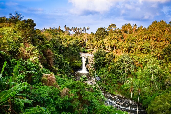 Ubud private tours - Ceking Rice Terrace: agricultural design you can walk through