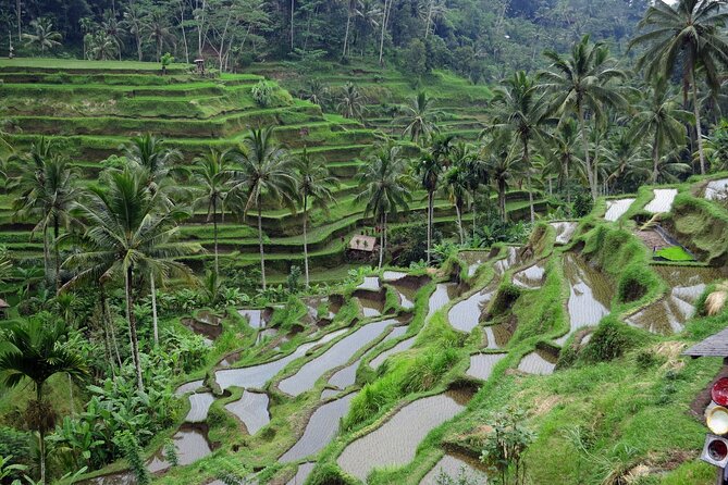 Ubud private tours - Batik and wood carving class: quick art-making, real craft