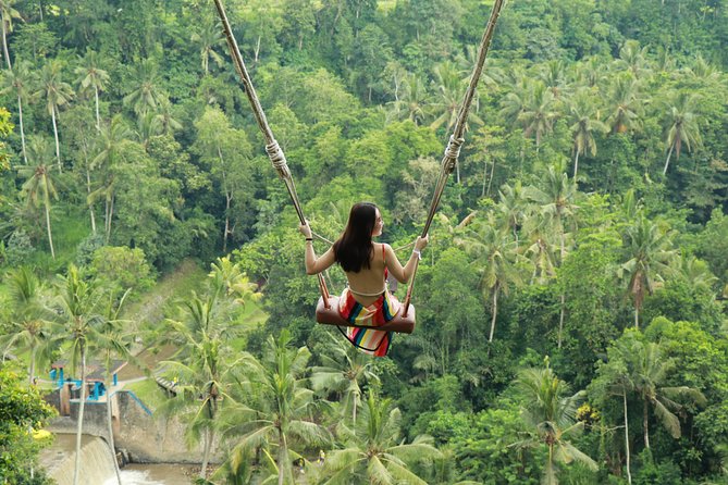 Ubud Private Tours with Jungle Swing Experience - all inclusive - Key highlights worth planning around