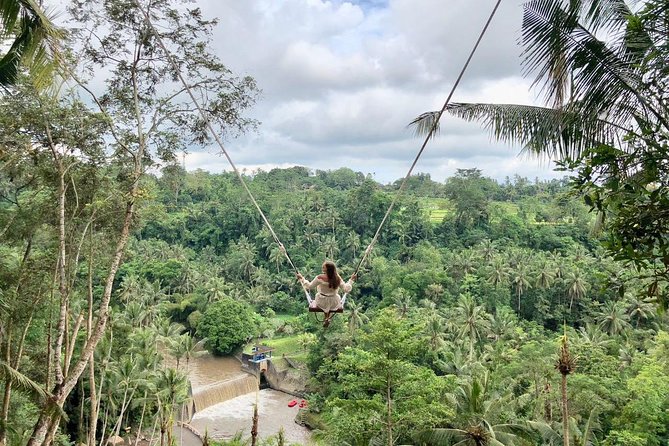 Ubud Private Tours with Jungle Swing Experience - all inclusive - Ubud’s arts loop plus jungle-swing photos