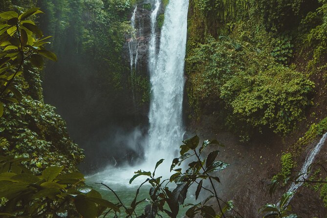 Ubud private tours - Price and value: how $40 works (and what you should watch)