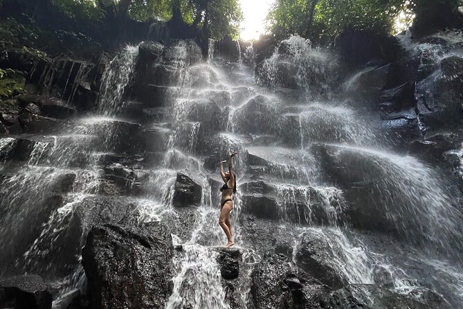 Ubud : Rice Terrace, water Temple and Waterfalls Private tour - Key highlights at a glance