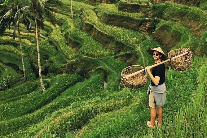 Ubud Sightseeing, Holy Water Temple & Waterfall - Price and What You Actually Get for $40