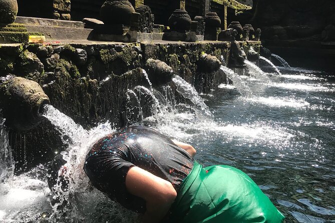 Ubud Sightseeing, Holy Water Temple & Waterfall - Stop 5: Tegalalang Rice Terrace for Classic Views (With Time to Enjoy Them)