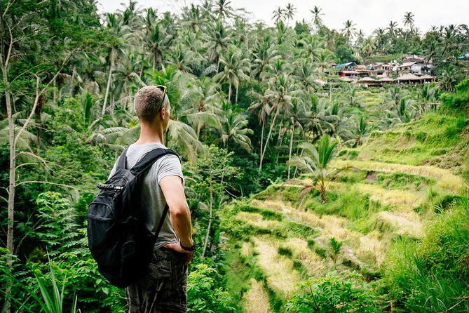 Ubud Small Group Tour: Monkey Forest, Tegalalang Rice Terraces and more - Tegalalang Rice Terraces: The Short Visit That Still Delivers