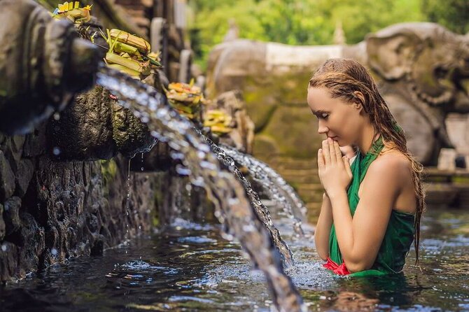 UBUD Spring Temple, Waterfall, Rice Terraces Private Tour - The real win: private touring through Ubud without the stress