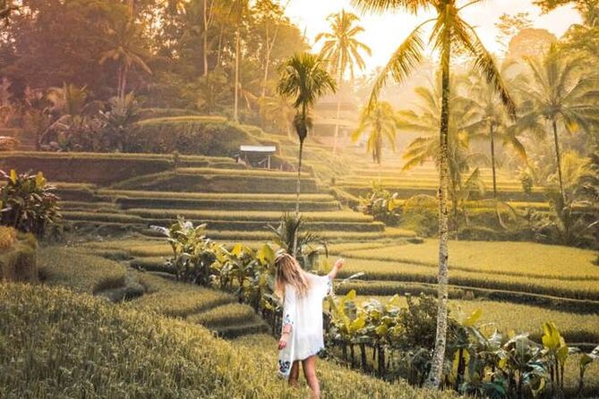 UBUD Spring Temple, Waterfall, Rice Terraces Private Tour - Stop 4: Tirta Empul Temple—cleansing, with rules you should respect
