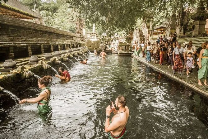 UBUD Spring Temple, Waterfall, Rice Terraces Private Tour - What you’ll learn from an onboard guide (and why it matters)