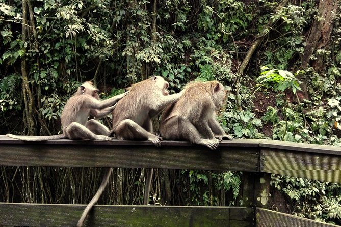 Ubud Surounding Tour - Kanto Lampo Waterfall: soak time and that rock for photos