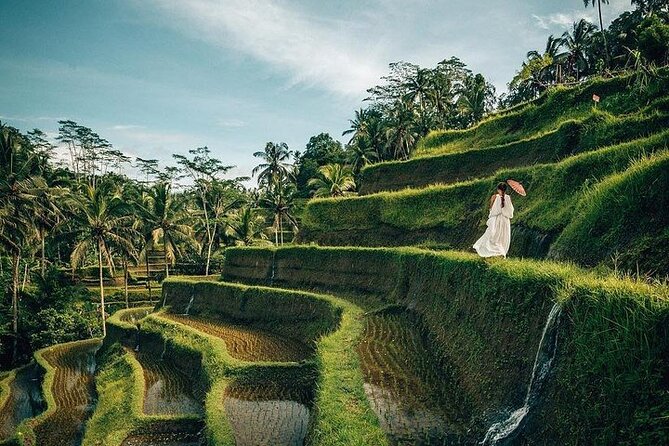 Ubud: Swing - Monkey Forest - Waterfall - Temple - Rice Terraces - Art Crafts - Key Things That Make This Tour Work Well