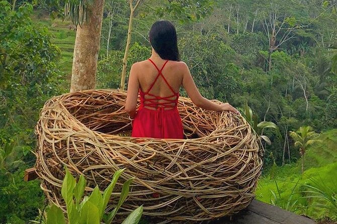 Ubud: Swing - Monkey Forest - Waterfall - Temple - Rice Terraces - Art Crafts - Stop 1: Tegenungan Waterfall for Photos and a Quick Swim Option