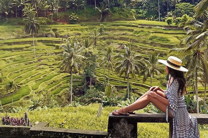 Ubud: Swing - Monkey Forest - Waterfall - Temple - Rice Terraces - Art Crafts - Stop 4: Tirta Empul Temple for Ritual Purification