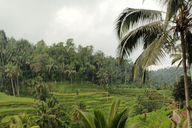 UBUD : Temple and Waterfall All Inclusive Day Tour - Price and value: why $28 can work here