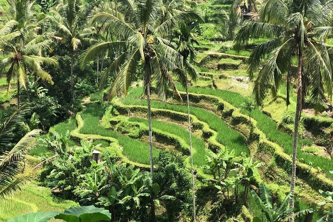 Ubud Temples, Waterfalls, Rice Terraces & Balinese Culture - Ubud Temples: Cultural Stops That Don’t Feel Like a Checklist