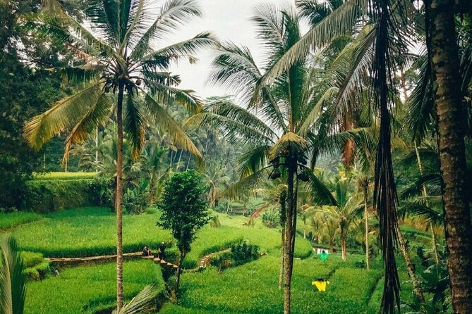 Ubud Temples, Waterfalls, Rice Terraces & Balinese Culture - Balinese Culture Through Your Guide (and Their Flexibility)
