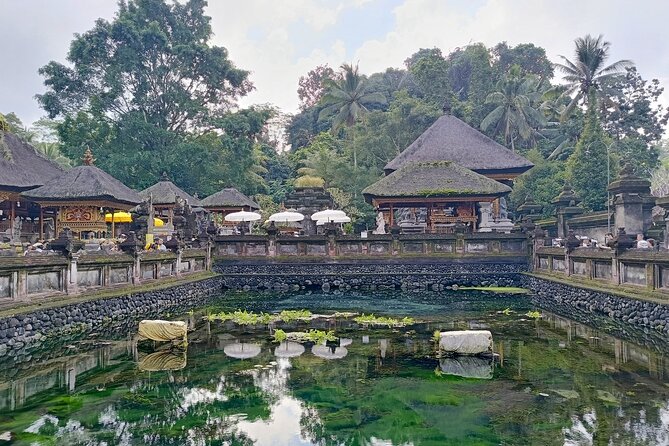 Ubud Tirta Empul Temple Tour with Purification Experience - Dress, Entry, and Temple Etiquette Tips That Actually Help