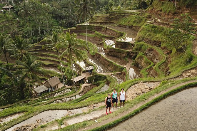 Ubud Top Attractions: Waterfalls, Temples and Rice Terraces - Gunung Kawi Sebatu Temple: koi ponds and a quieter rhythm