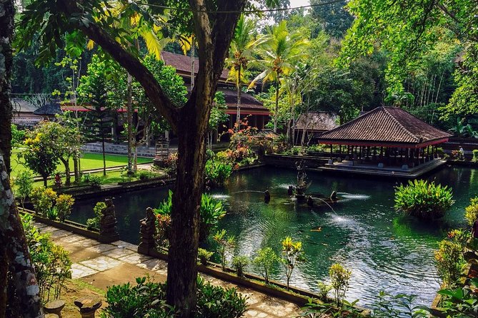 Ubud Top Attractions: Waterfalls, Temples and Rice Terraces - Tegalalang Rice Terrace: the short trek that feels real