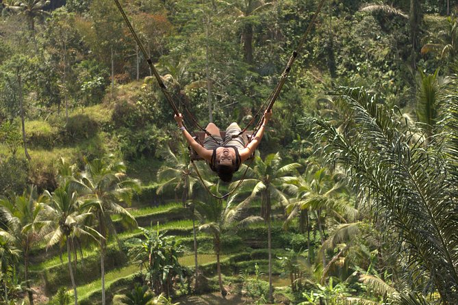 Ubud Top Attractions: Waterfalls, Temples and Rice Terraces - Price and what you actually get for $39