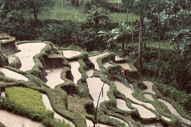 Ubud Top Tours to Discover Bali’s Cultural and Natural Wonders - Key things that make this Ubud trip a smart choice